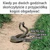 Dokładnie