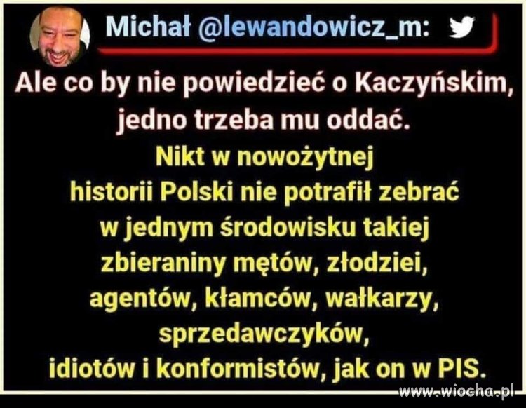 Trafione w punkt