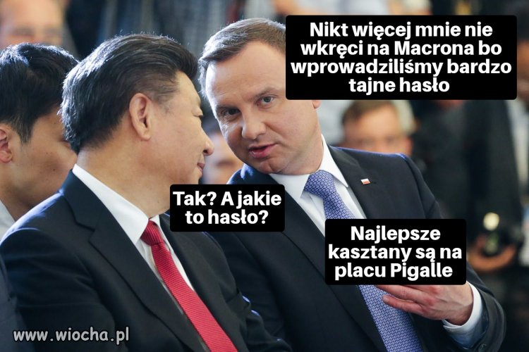 Uff, niebezpieczeństwo zażegnano 