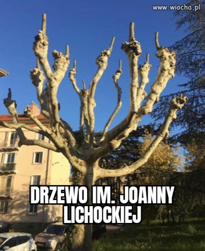 Podobno gdzieś istnieje..
