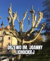 Podobno gdzieś istnieje..
