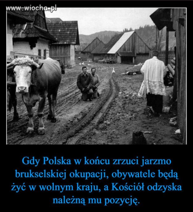 Polska jest buforem, miedzy Rosja a cywilizacja...