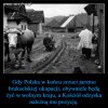 Polska jest buforem, miedzy Rosja a cywilizacja...