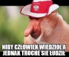 Za wcześnie?