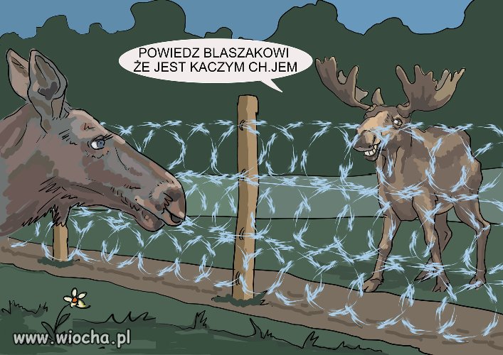 Powiedz Błaszczakowi...