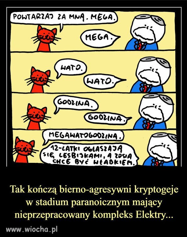 Powazne rozmowy prezesa z ...kotem!