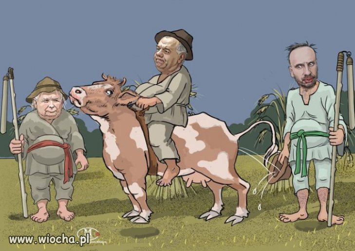 Rodeo po repolonizacji...