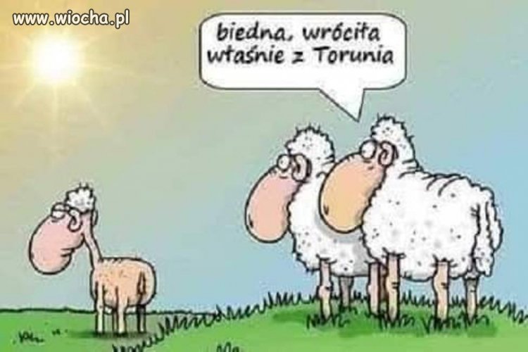Była  wygrzać się
