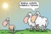 Była  wygrzać się