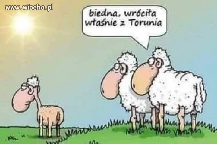 Była  wygrzać się