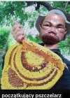 Polecamy naszym Paniom