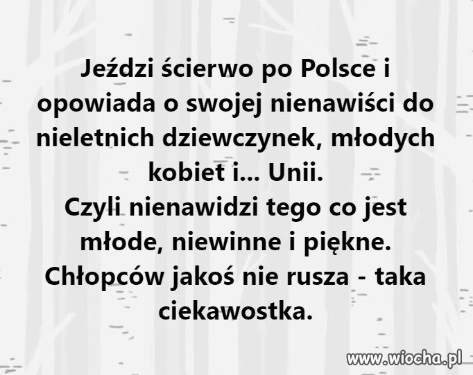 Mobilna nienawiść na kaczych łapach