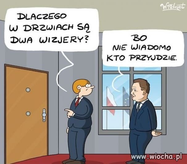 Wizjery