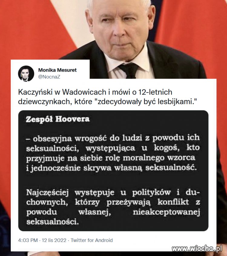 Jarosław parówa Kaczyński 