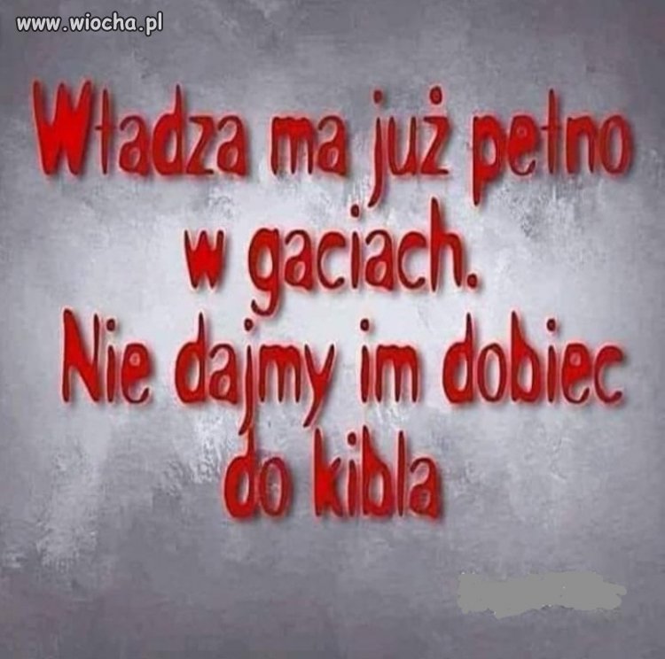 Pełno w gaciach