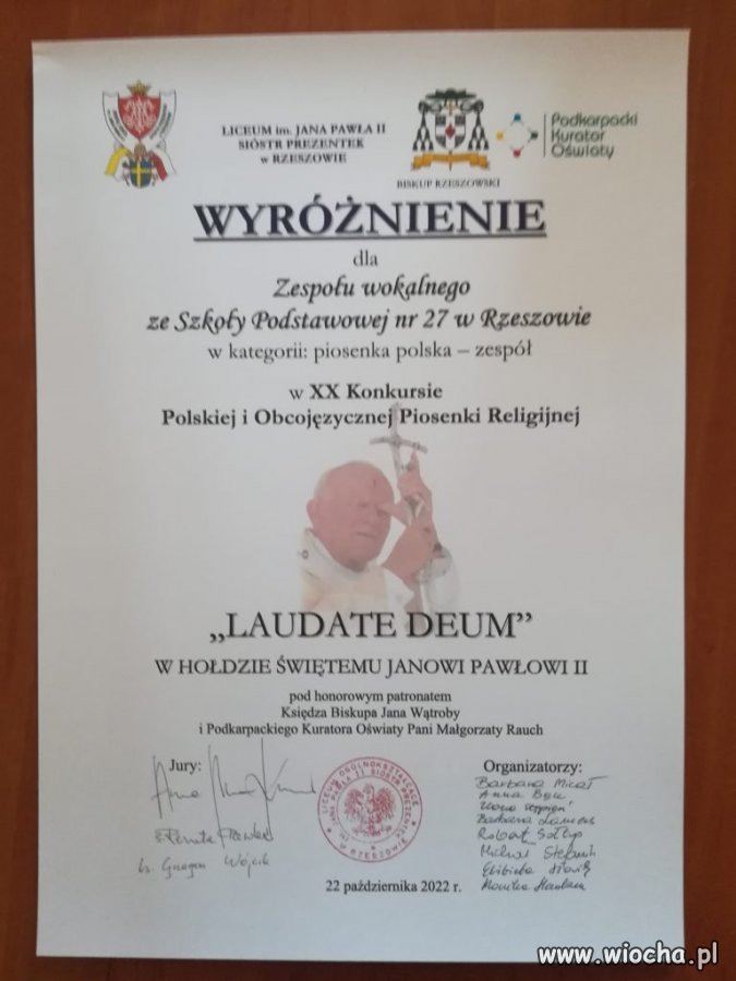 Czym się kuratoria zajmują?