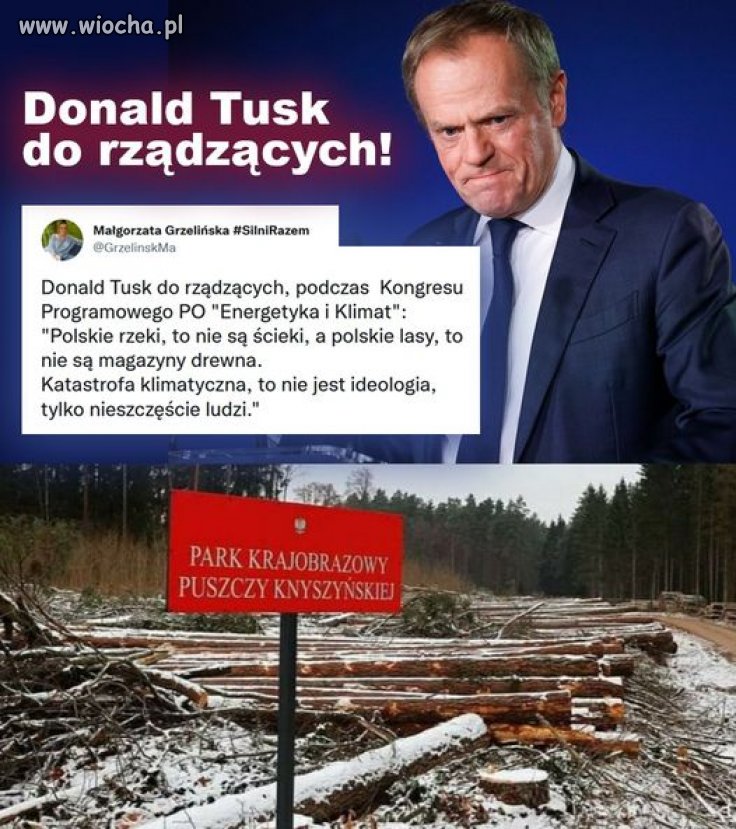 W punkt