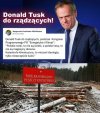 W punkt