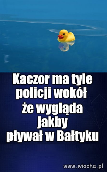 Strefa przybrzeżna jest bardzo zanieczyszczona