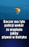 Strefa przybrzeżna jest bardzo zanieczyszczona