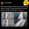 Rów Kaczyńskiego