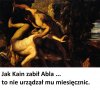 Apolitycznie