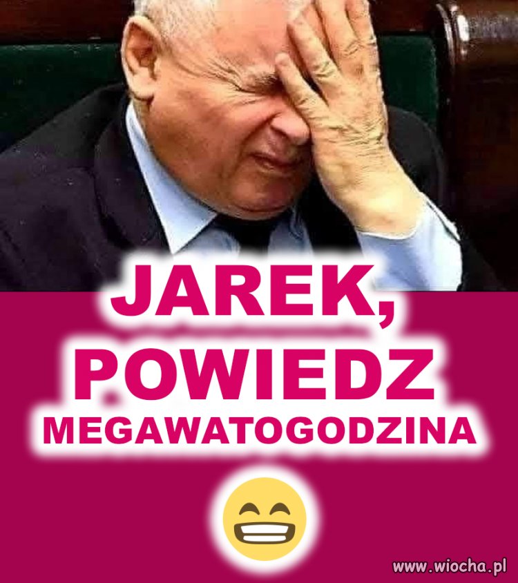 Bohater pisowców 