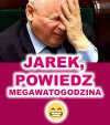 Bohater pisowców 