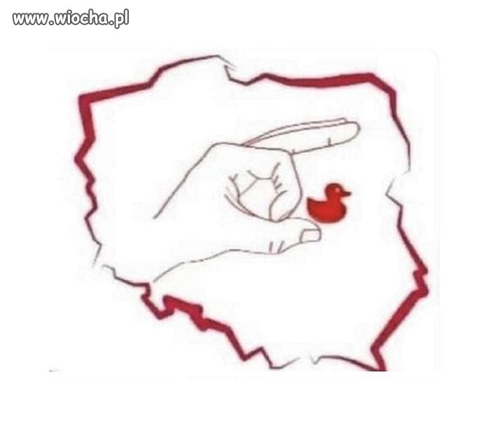 Tak to wygląda