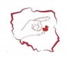 Tak to wygląda