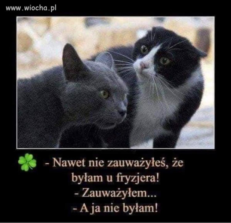 Masz tu dwie stówki