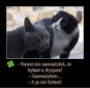 Masz tu dwie stówki