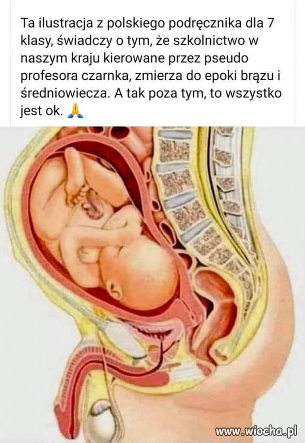 Lex Czarnek 2,0