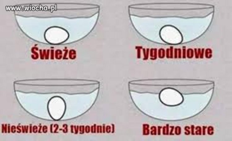 Dobrze jest