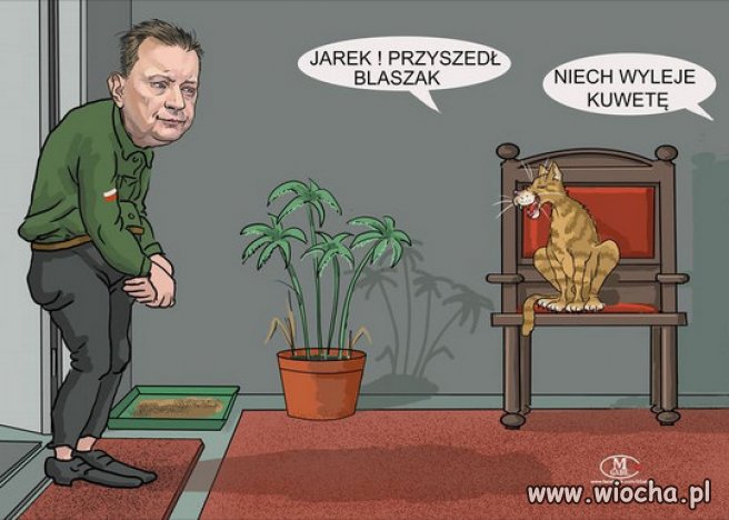 Tylko kueweta!!! Nic więcej. - łupieżak 😀