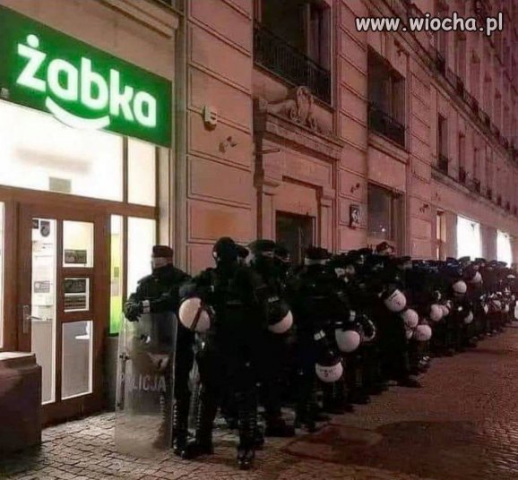 Promocja na psie żarcie
