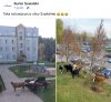 Miasto wyjdzie ze wsi