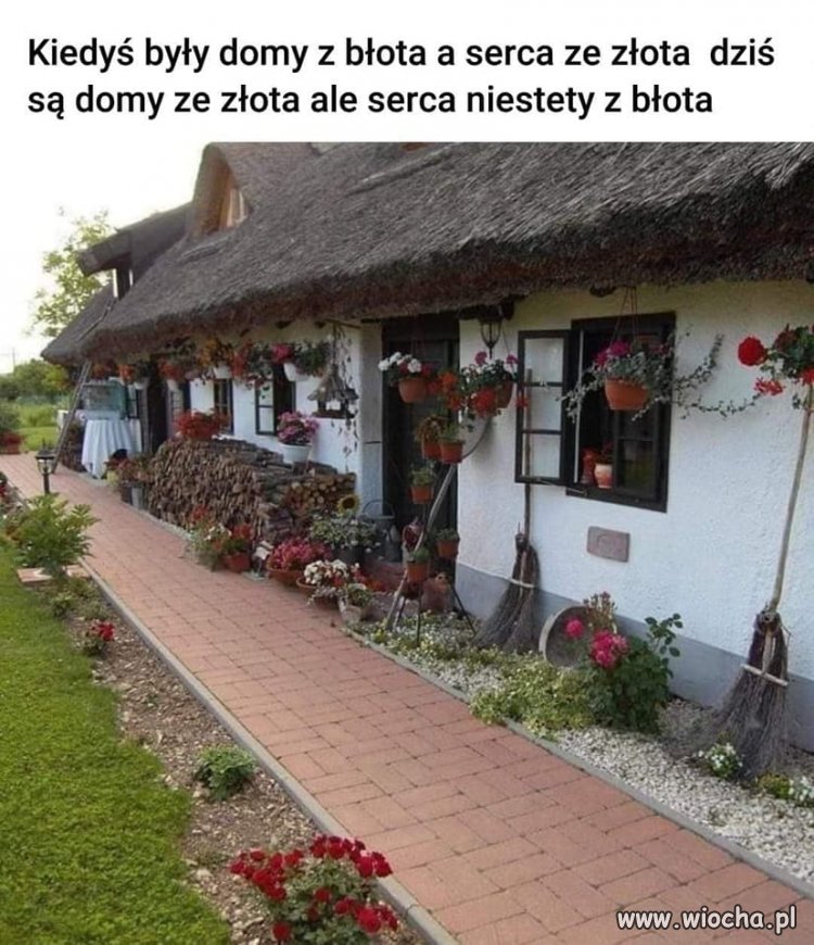 Niestety