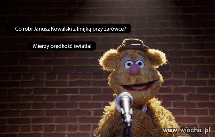 Janusz 