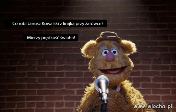 Janusz 