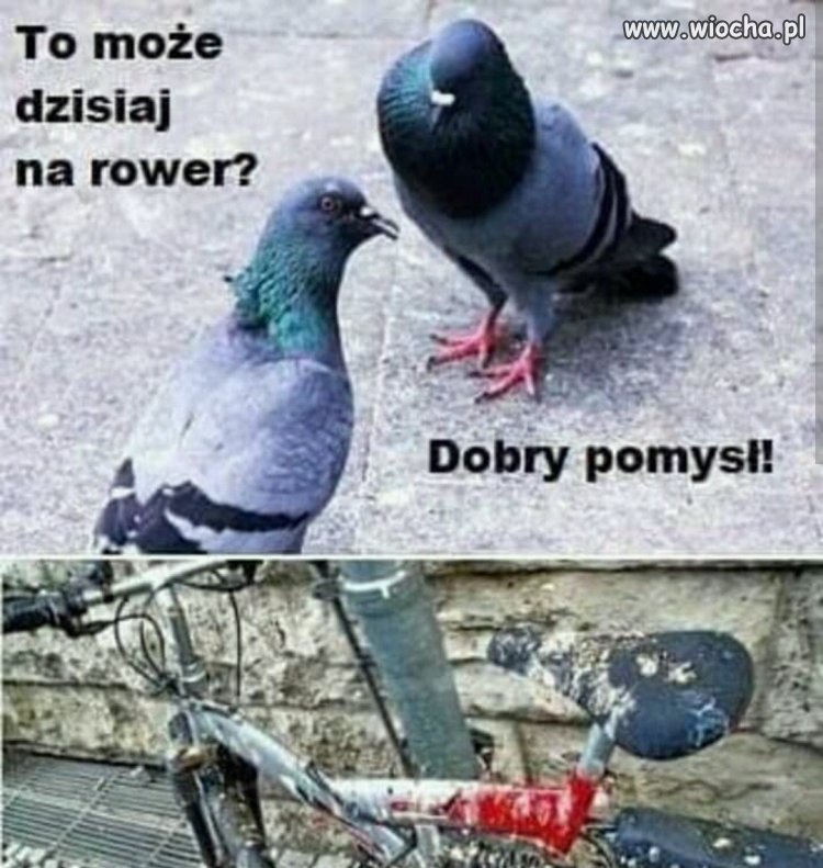 Heheszki
