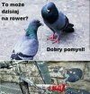 Heheszki