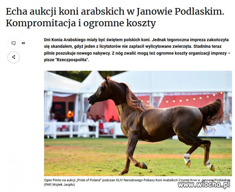 Za co PiS się weźmie, wszystko kończy się fiaskiem