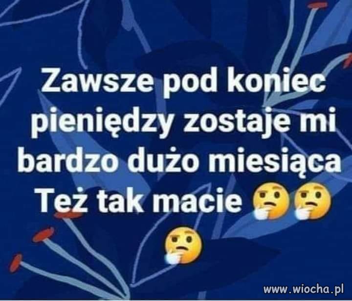 Trzeba dziękować tej bandzie kościelnej i załupieżonemu konusowi