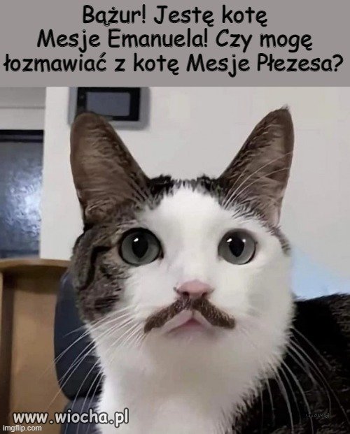 Bążur!