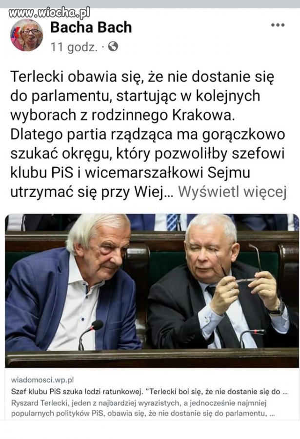 Pisony i ich problemy