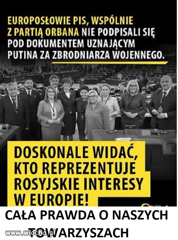 PACYFIŚCI 