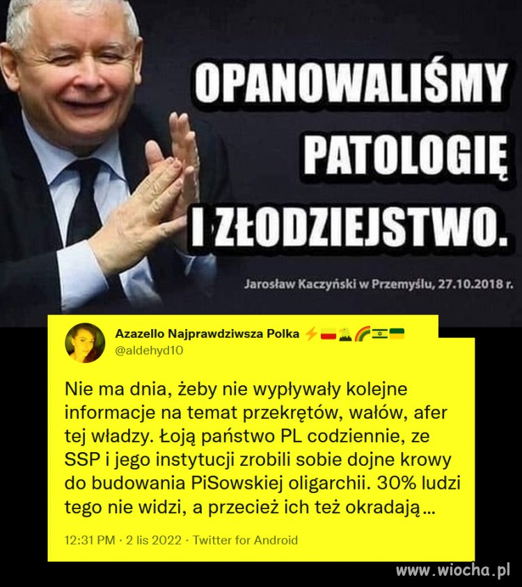 To prawda opanowali to do perfekcji