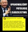 To prawda opanowali to do perfekcji