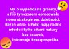Pozostaje tylko błysnąć elokwencją; Jprd!!!